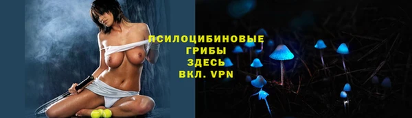гидропоника Алзамай
