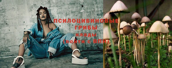 прущие грибы Алексин
