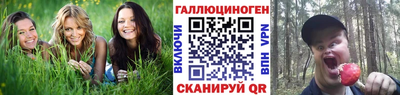 Галлюциногенные грибы мухоморы  Ленинск-Кузнецкий 